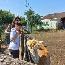 IV. A - Zoo park v České Skalice