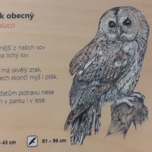 Projektový den PTÁCI