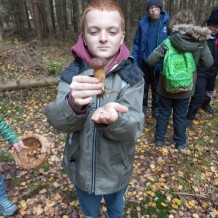 1.B - Podzimní výlet - houby