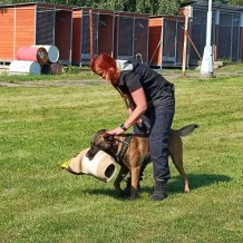 Příměstský tábor 2023_ctvrtek_POLICEJNÍ PSOVOD